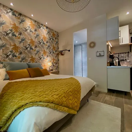 Le Maya - Confort - Hyper Centre - Proche Gare * 圖盧茲